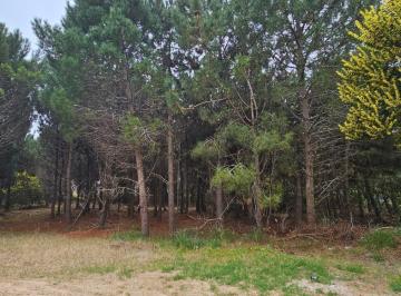 Terreno · 941m² · Lote en Costa Esmeralda, barrio Golf 2 C/bosque de Pinos. a 300 m del Mar. 941 m²