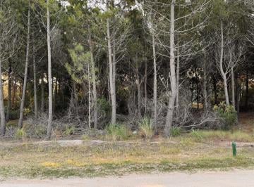 Terreno · 919m² · Maritimo IV 44