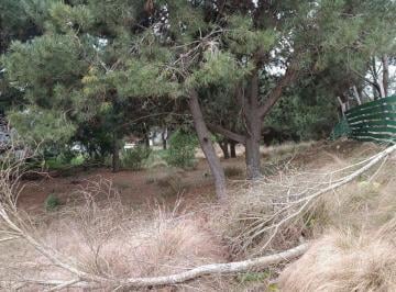 Terreno · 1100m² · Maritimo 2 16