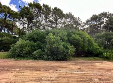 Terreno · 1105m² · Lote en Venta Alamos II, Pinamar Norte
