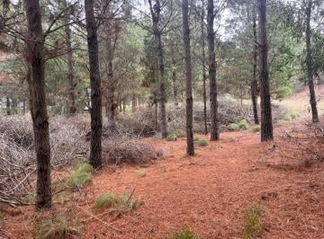 Terreno · 1m² · Costa Esmeralda Venta Lote Senderos I Al 100