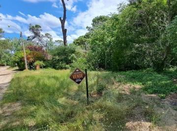Terreno · 575m² · Lote en Barrio Norte - Villa Gesell - Alameda 212 y Acceso Norte