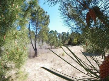 Terreno · 700m² · 30 y Necochea