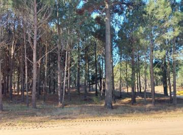 Terreno · 705m² · Pioneros III Pinamar (Lote21).