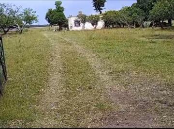 Casa · 25000m² · 2 Ambientes · Chacra en Otamendi 2.5 Ha Partido Gral Alvarado
