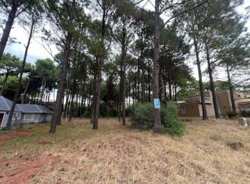 Terreno · 863m² · Lote Pinamar Norte - Calle Poseidon