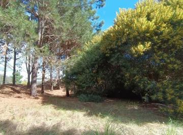 Terreno · 950m² · Costa Esmeralda - Marítimo 3 156