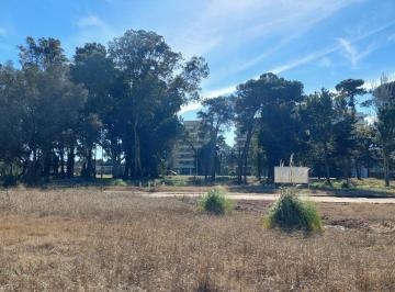Terreno · 1939m² · Gulliver 120