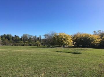 Campo · 130m² · 5 Ambientes · 1 Cochera · Casa en Venta Los Porteños City Bell con Gran Parque y Pileta