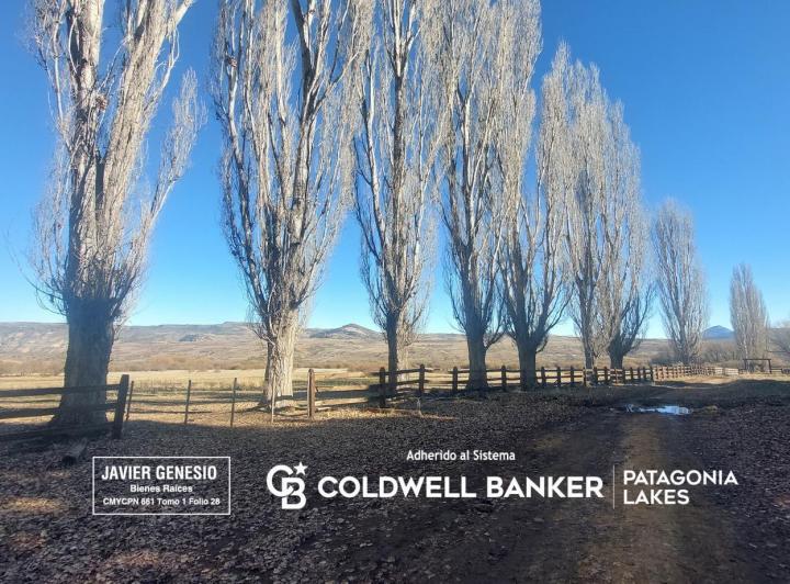 Campo · 20250000ha · 5 Ambientes