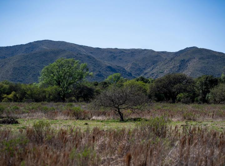 Terreno · 670m²