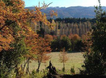 Campo · 45000m² · Chacra - Mallin Ahogado