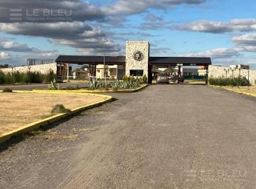 Terreno · 600m² · Venta de Dos Lotes Unidos de 300 m² Cada Uno en Finca Don Eugenio II