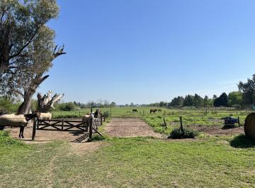 Campo · 300m² · 5 Ambientes · 2 Cocheras · Chacra en Venta en Manzanres, Pilar, Gba Norte