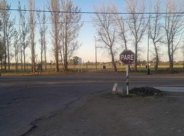Terreno , San Rafael · Venta 4 Ha en San Rafael Mendoza Ubicacion Extrategica y Derecho de Riego Al Dia
