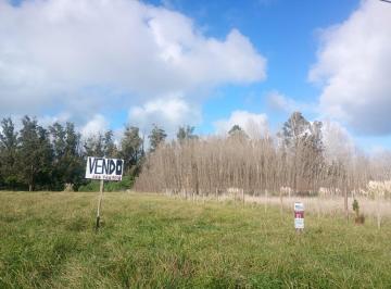 Terreno , Chapadmalal · Terreno en San Eduardo del Mar