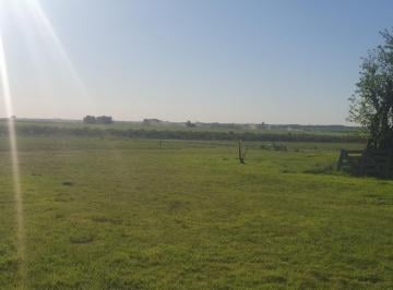 Campo · 1130000m² · En Vente Campo Agricola de 113has!