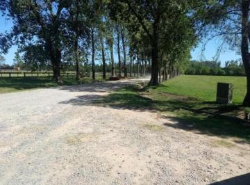Terreno · 5000m² · Mmc. Venta de Lote en Haras El Malacate