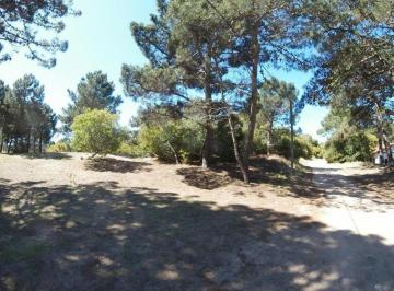 Terreno · 12582m² · Calle 31 Entre Miramar y San Clemente