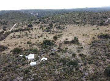Terreno · 149ha · Campo Chacras Viejas Cruz del Eje