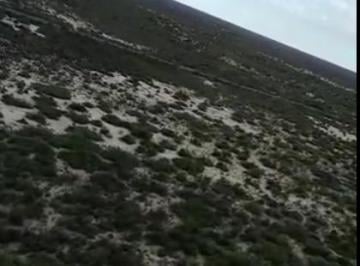Campo , Lavalle · 10 Ha en Venta en Lavalle