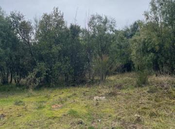 Terreno · 488m² · Terreno en Ruta 40 Sur