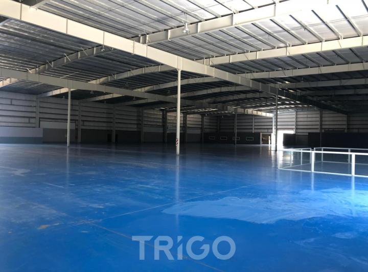 Bodega-Galpón · 6250m² · 1 Ambiente · 15 Cocheras