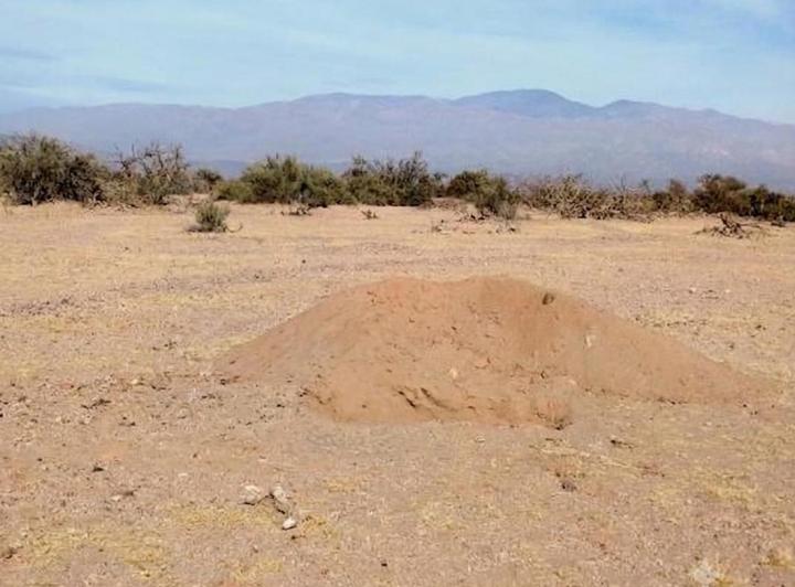 Terreno · 2700ha