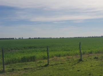 Campo · 2860000m² · Campo de 286has a La Venta - Concepcion del Uruguay