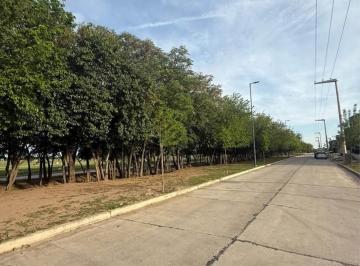 Terreno · 362m² · Venta Lote Apto Duplex 383 m² Distrito Sur