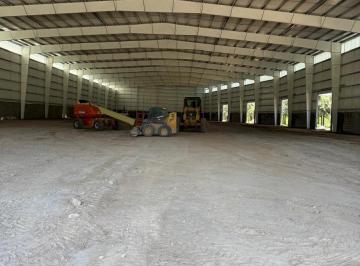 Bodega-Galpón · 6000m² · Galpón en Piba 1