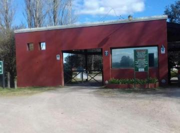 Terreno · 4900m² · Rbs. Hermoso Lote Interno Estilo Chacras en Barrio La Ranita