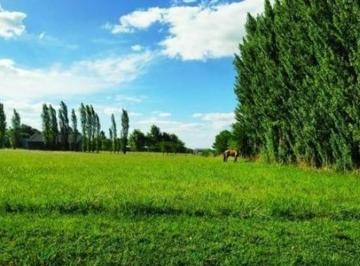 Terreno · 2800m² · Hermoso Lote Interno Estilo Chacras en Barrio La Ranita