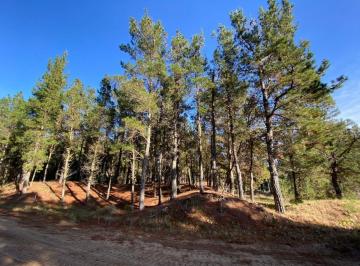 Terreno · 1177m² · Villa Robles - Lote 490 - Barrio I