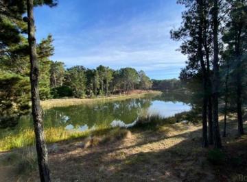 Terreno · 930m² · Usd 36.000 y 20 Cuotas de Usd 2.700 Lote a La Laguna Villarobles - Serena Lote 106