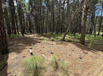 Terreno · 865m² · Lote 314 Albatros Villa Robles