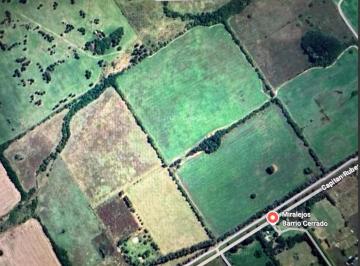Campo , Pilar · Campo de 100 Hectáreas en Pilar - Ideal Desarrollo Barrio Privado