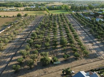 Terreno · 400m² · Lotes Olivos Vip San Rafael Mendoza