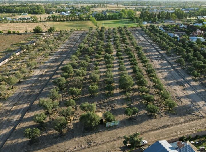 Terreno · 400m²