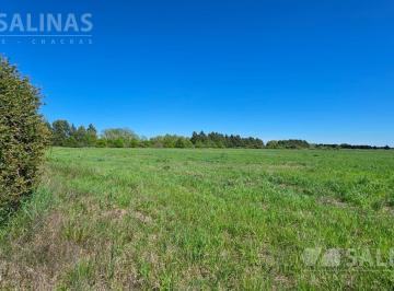 Campo · 70000m² · Chacra con Árboles y Plantas en Capilla del Señor