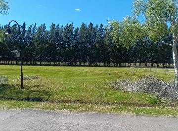 JSP-JSP-4661_2 · Venta de Lote en Haras del Sur II, Brandsen