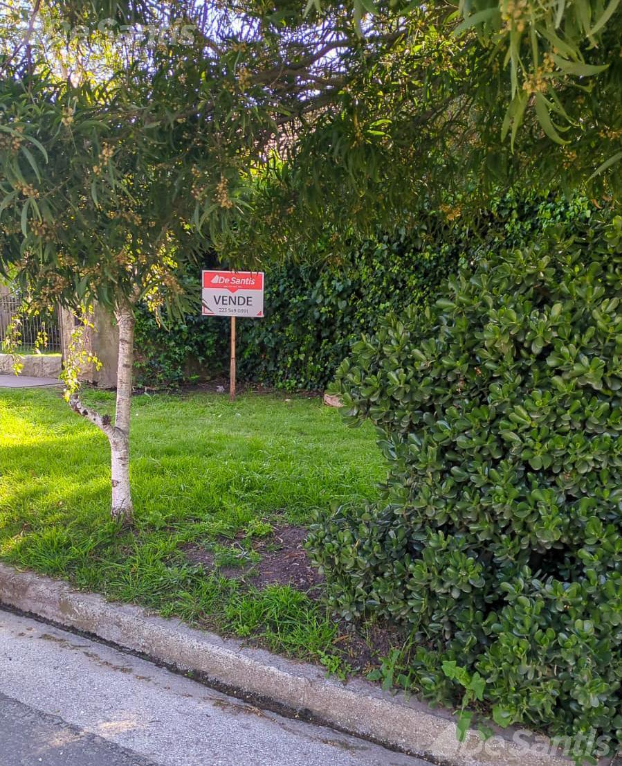Lote en venta en Punta Mogotes, con una superficie total de 233 m²