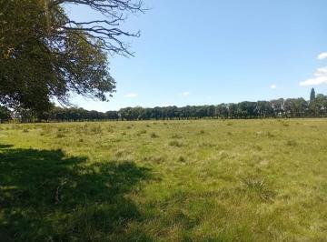 Campo · 150000m² · Venta de Ha en Zarate