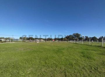 Terreno · 300m² · Terreno en Venta en Sicardi
