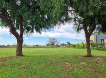 Terreno · 1271m² · Venta Lote Interno en El Barrio San Sebastián Escobar - Area 8