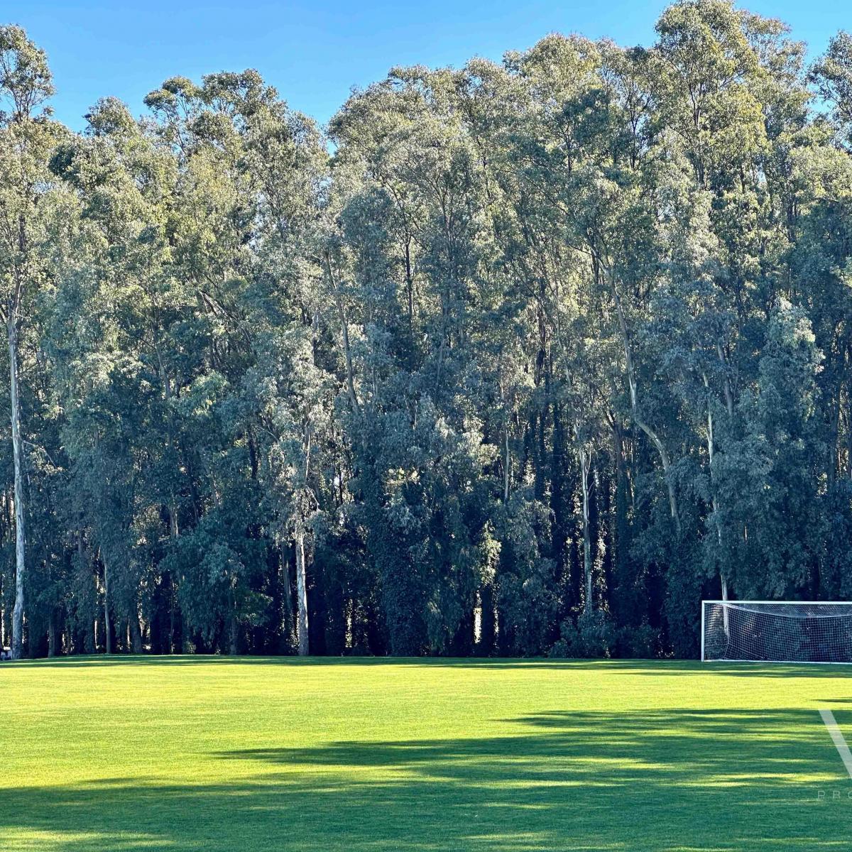 ¡Oportunidad! Espectacular lote en venta, ubicado en el barrio Las Lomas en Rumenco.