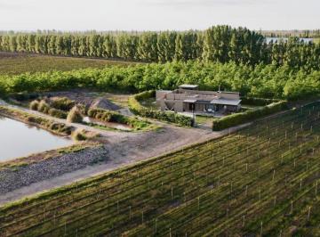 Campo , Tunuyán · Venta de 27.4 Has en Vista Flores - Tunuyan, Camino del Vino