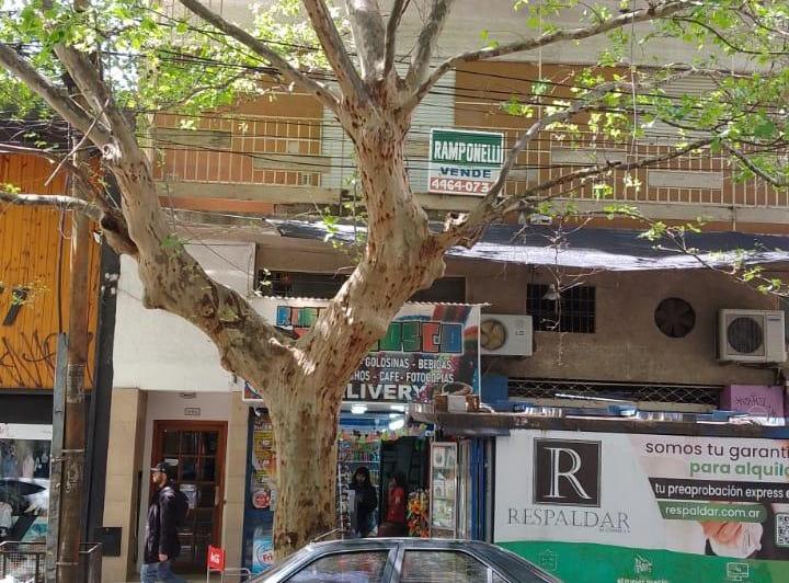 Departamento · 49m² · 3 Ambientes