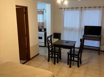 Departamento · 25m² · 1 Dormitorio · Departamento Monoambiente - Zona Centro Sobre Peatonal