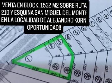 Terreno , San Vicente · Venta de Lote en Alejandro Korn - Oportunidad Comercial!